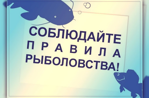Соблюдайте Правила рыболовства! Соблюдайте Правила рыболовства!