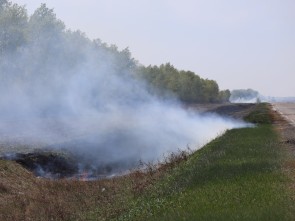 Особый противопожарный режим введен на территории Алтайского края с 11 апреля