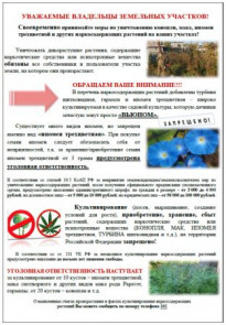 Информирование об уничтожении конопли, мака, ипомеи трехцветной и других наркосодержащих растений на участках