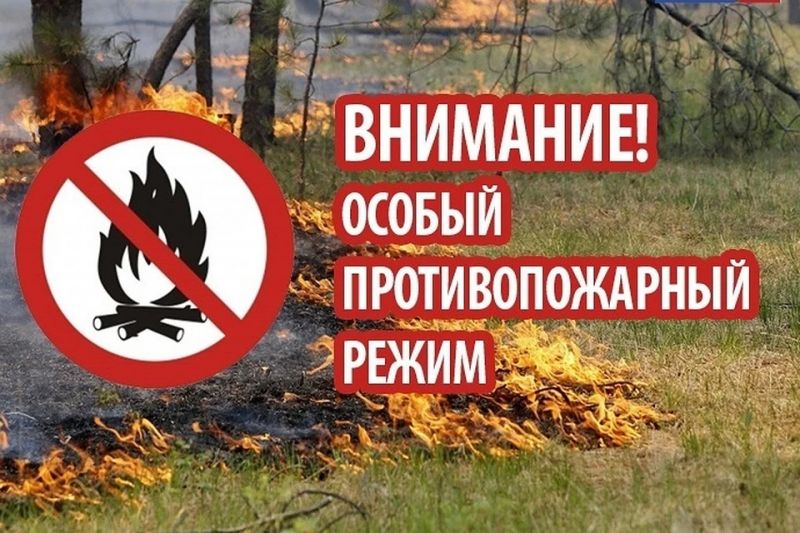 В Благовещенском районе введен особый противопожарный режим В Благовещенском районе введен особый противопожарный режим