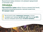 Разбираем самые распространённые заблуждения о лесных пожарах
