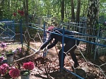 В преддверии празднования 75- летия Победы в ВОВ Администрация Благовещенского поссовета приняли активное участие в акциях