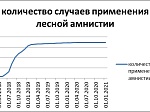 «Лесная амнистия» в действии