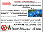 Информирование об уничтожении конопли, мака, ипомеи трехцветной и других наркосодержащих растений на участках