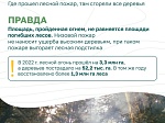 Разбираем самые распространённые заблуждения о лесных пожарах